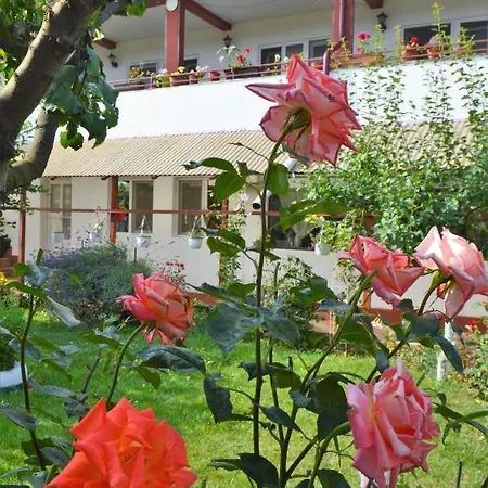 Guest house Casa Gia