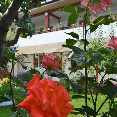Guest house Casa Gia