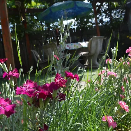 Casa Gia Costinești